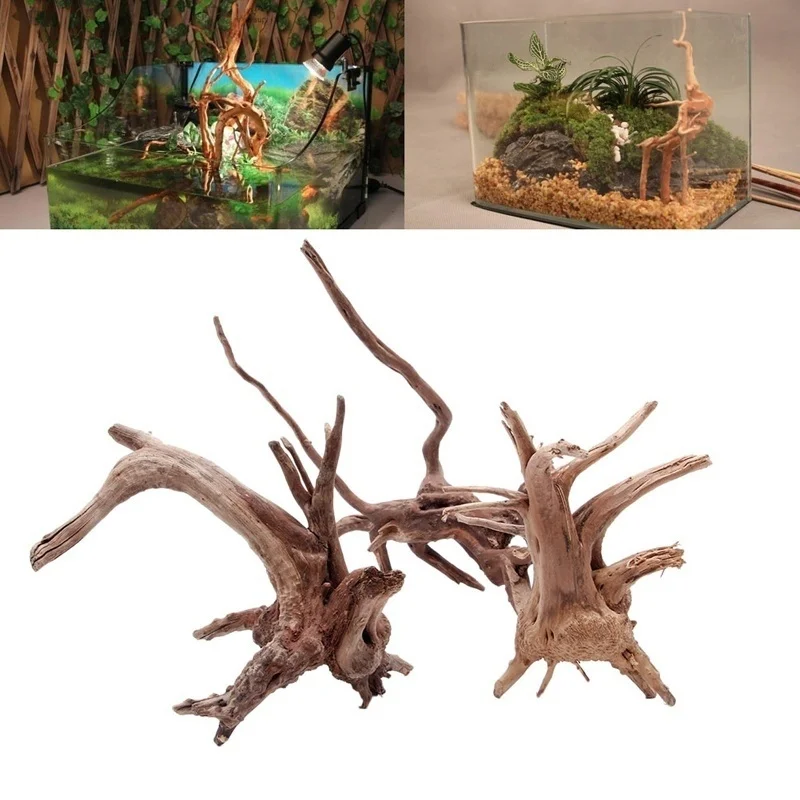 Natural Tree Trunk Driftwood A - Planted Aquarium Making ulasan dan harga