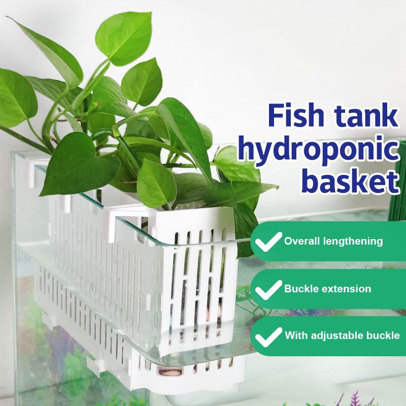 【F】Fish Tank Hanging Planter A - Aquarium Plant Nursery ulasan dan harga