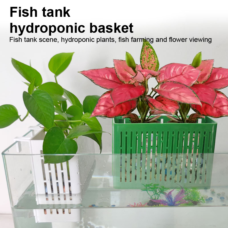 【F】Fish Tank Hanging Planter A - Aquarium Plant Nursery ulasan dan harga