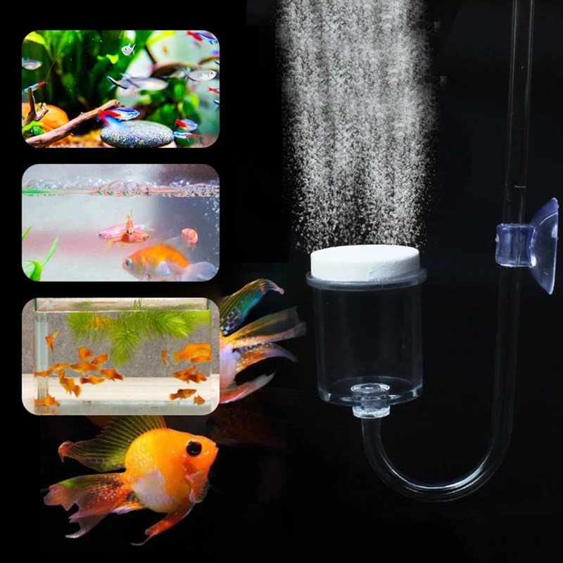4pcs Set DIY CO2 Diffuser For  - Aquarium Plant Nursery ulasan dan harga