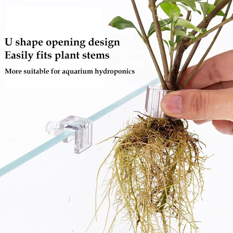 Hot Sale 6pcs Clear Aquarium P - Planted Aquarium For Sale ulasan dan harga