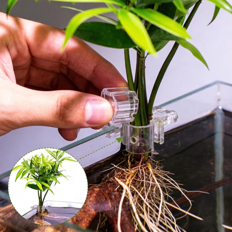 Hot Sale 6pcs Clear Aquarium P - Planted Aquarium For Sale ulasan dan harga