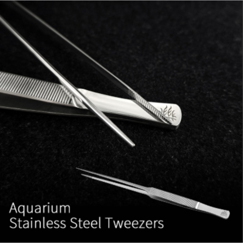 Week Aqua Stainless Steel Aqua - Aquarium Plant Nursery ulasan dan harga