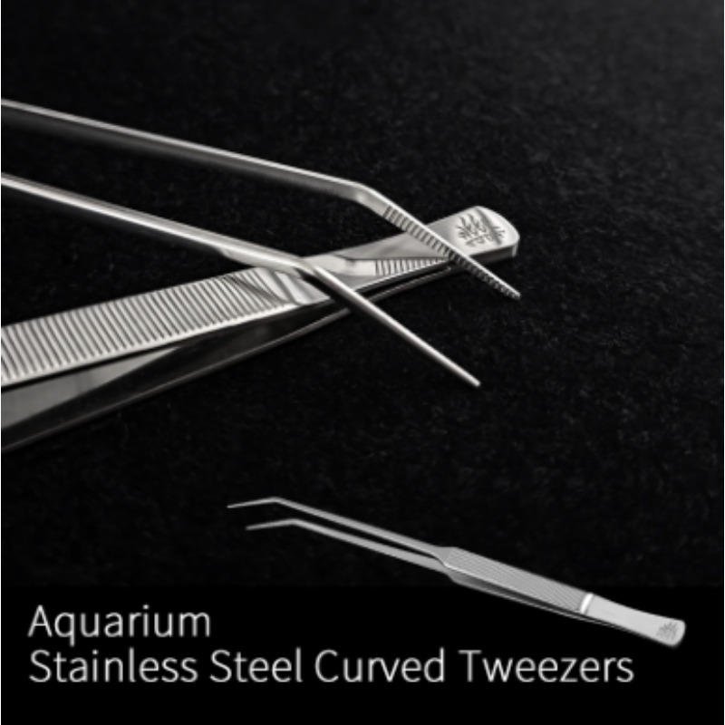 Week Aqua Stainless Steel Aqua - Aquarium Plant Nursery ulasan dan harga