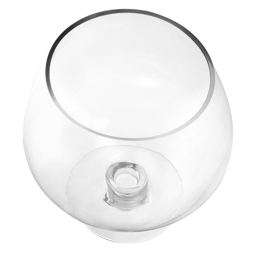 Delicate Clear Glass Fish Bowl - Planted Aquarium Angelfish ulasan dan harga