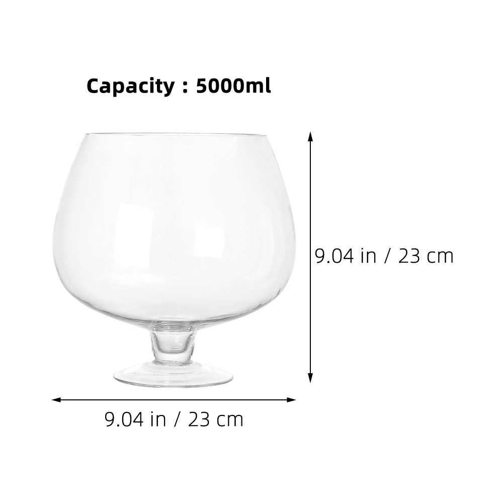 Delicate Clear Glass Fish Bowl - Planted Aquarium Angelfish ulasan dan harga