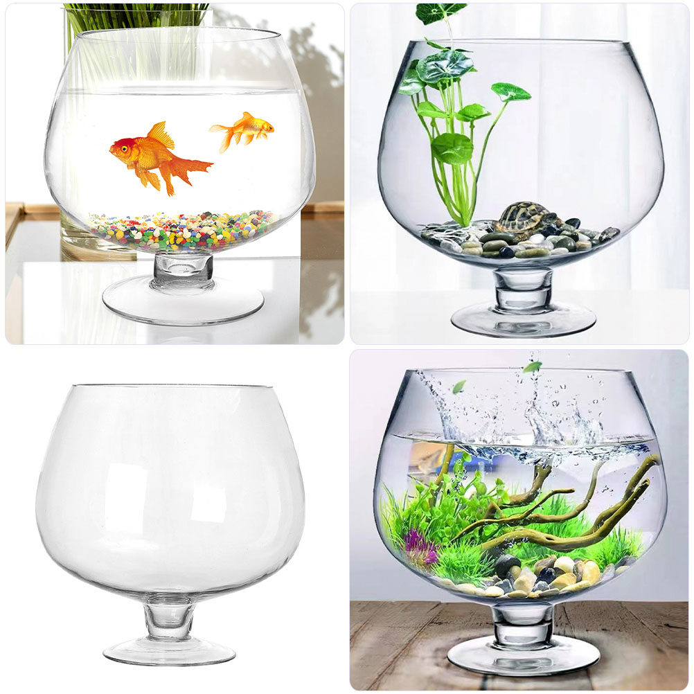 Delicate Clear Glass Fish Bowl - Planted Aquarium Angelfish ulasan dan harga