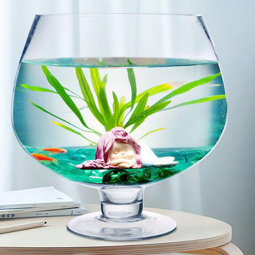 Delicate Clear Glass Fish Bowl - Planted Aquarium Angelfish ulasan dan harga