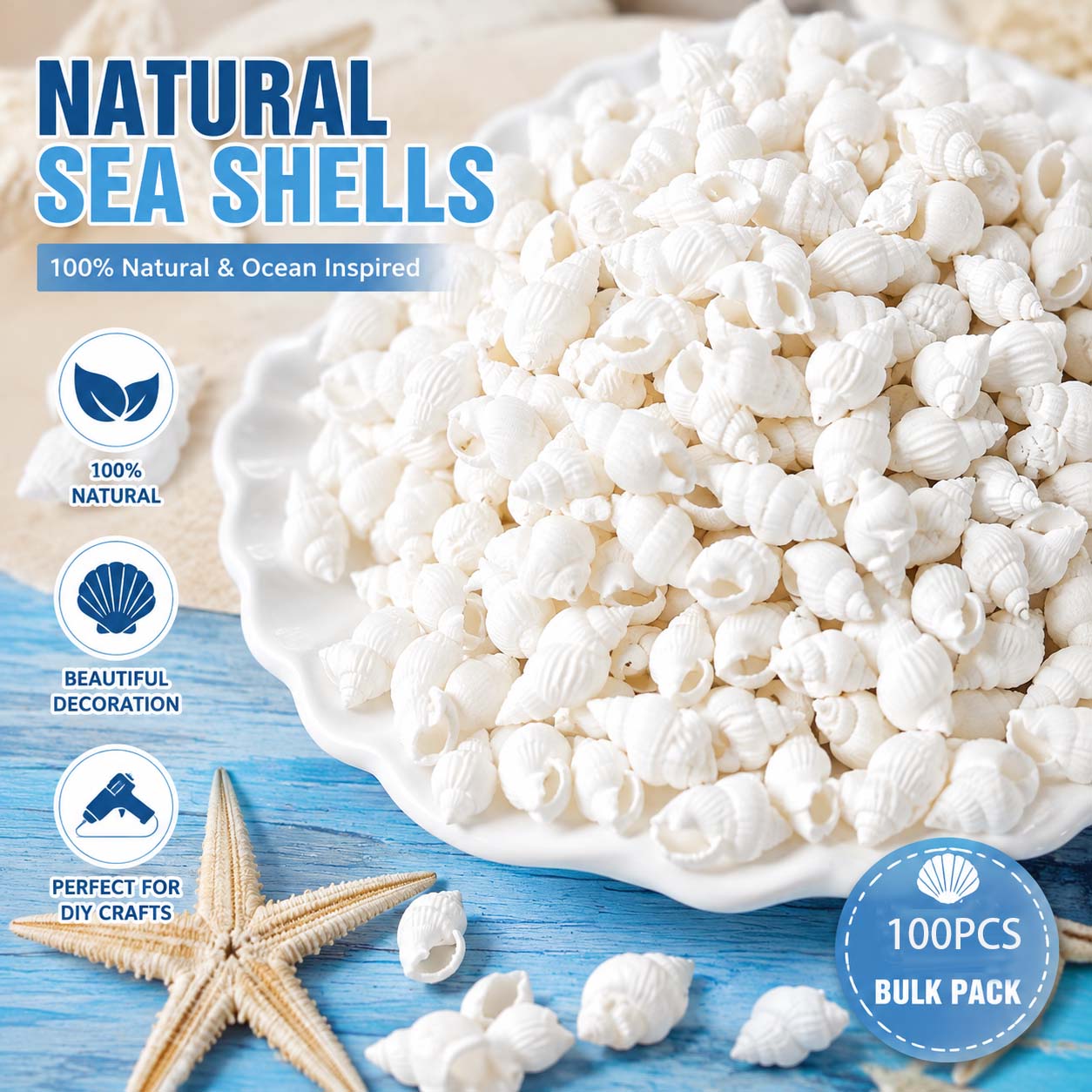 Natural White Mini Sea Shells  - Planted Aquarium Making ulasan dan harga