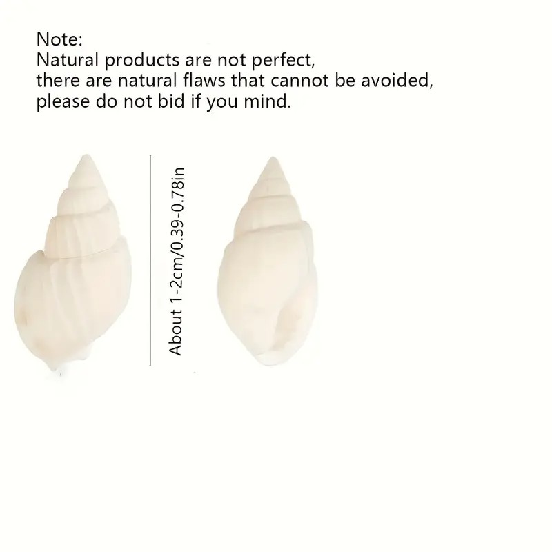 Natural White Mini Sea Shells  - Planted Aquarium Making ulasan dan harga